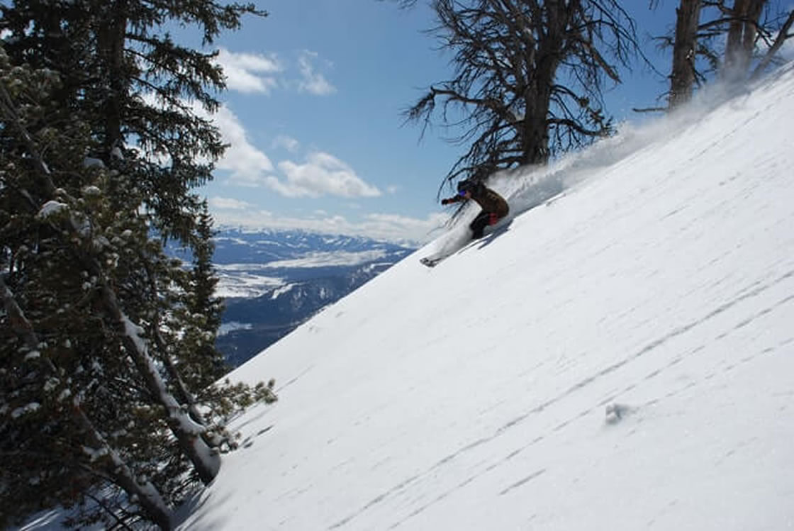 RAD Hostel - Aspen