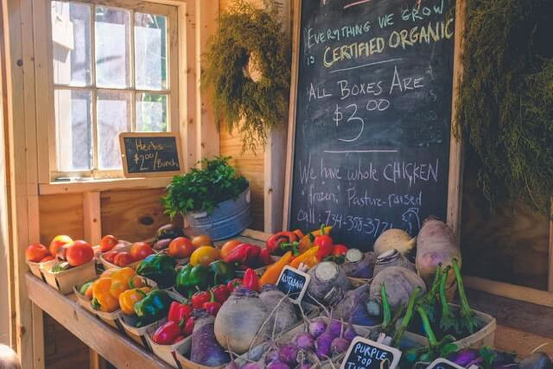 RAD Hostel - Farmer’s Market